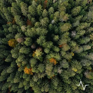 placat-eco-camping-nel-bosco.it-lombardy.com/